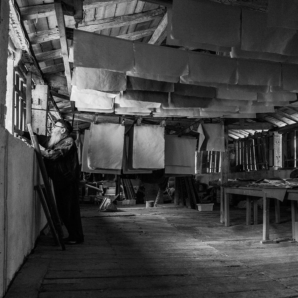 PHOTOGRAPHE  ANGOULÊME CHARENTE - PHOTO REPORTER - LA FRANCE PROFONDE